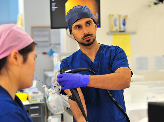 Gastroenterologist handling an endoscope during a medical procedure in Australia